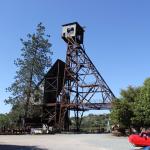 IMG_7712 (May 28, 2024)